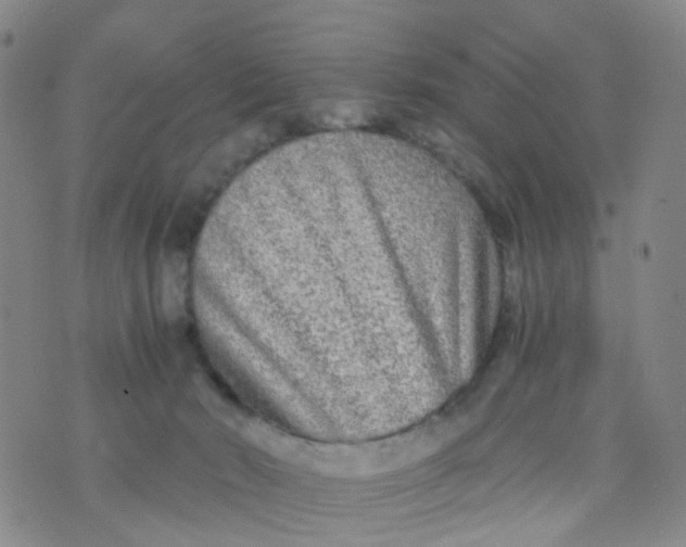 X0000073920030200609011820