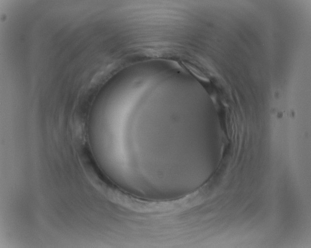 X0000073920031200609011820