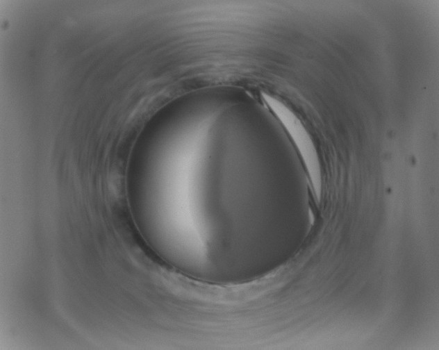 X0000073920035200609011820