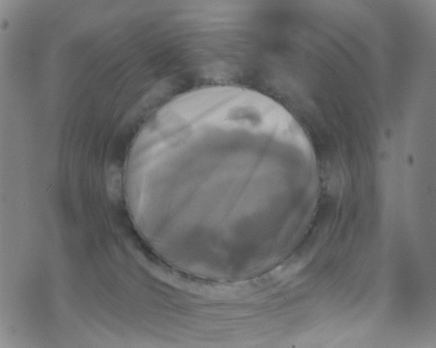 X0000073920036200609011820