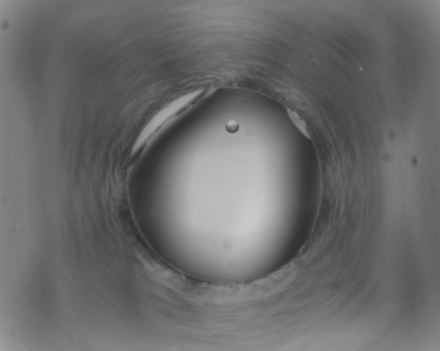 X0000073920037200609011820