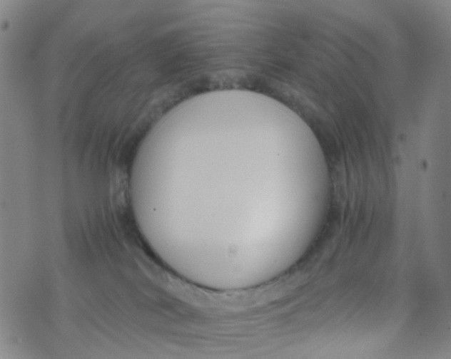 X0000073920038200609011820