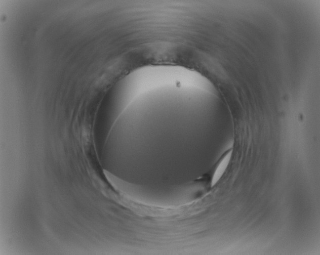 X0000073920039200609011820