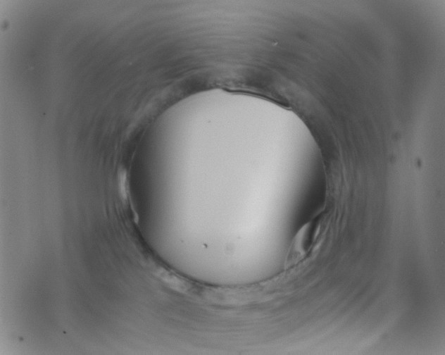 X0000073920041200609011820