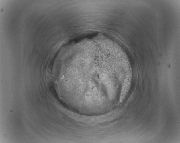 X0000073920043200609011820