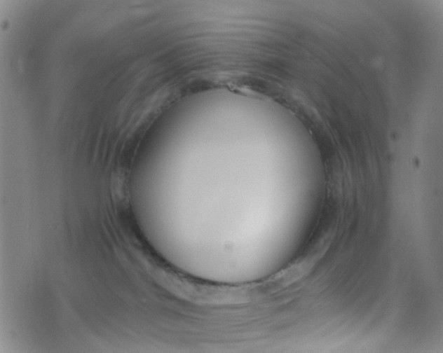 X0000073920044200609011820