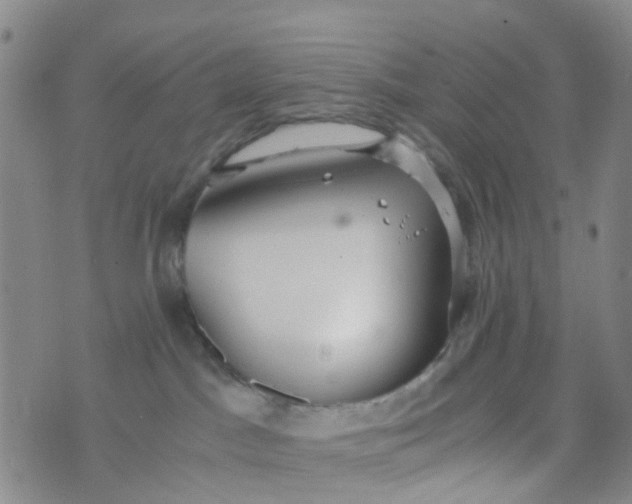 X0000073920045200609011820