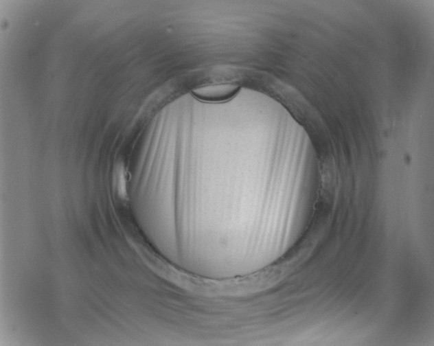 X0000073920046200609011820