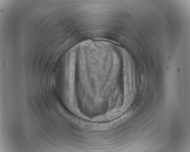 X0000073920048200609011820