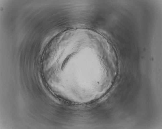 X0000073920049200609011819