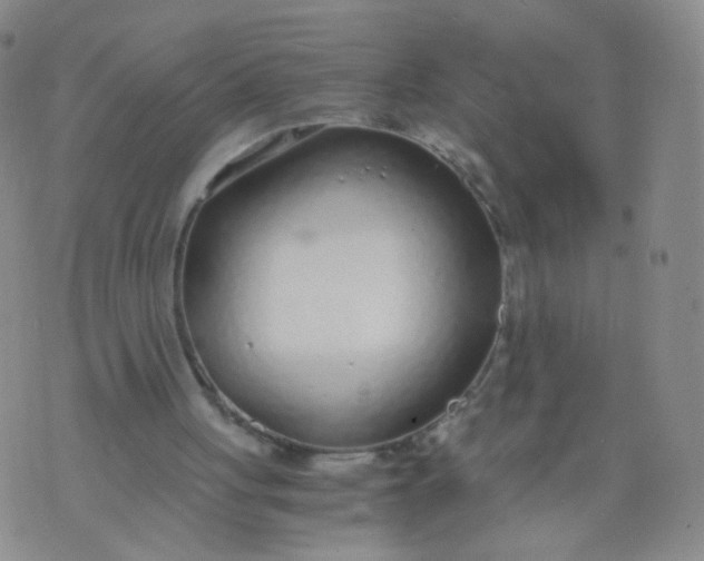 X0000073920051200609011819