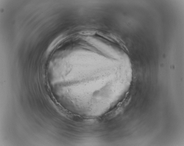 X0000073920053200609011819