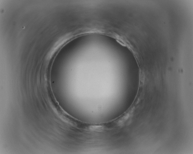 X0000073920055200609011819