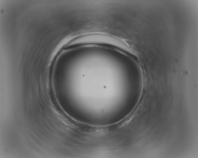 X0000073920056200609011819