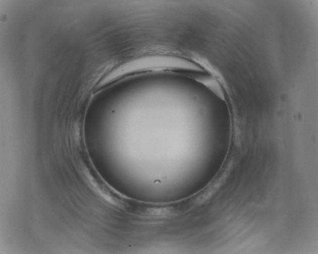 X0000073920057200609011819