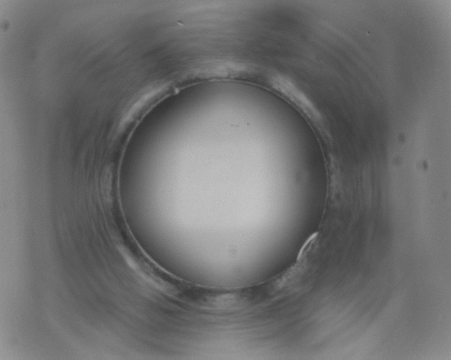 X0000073920058200609011819