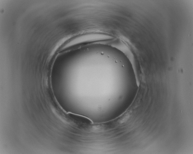 X0000073920060200609011819