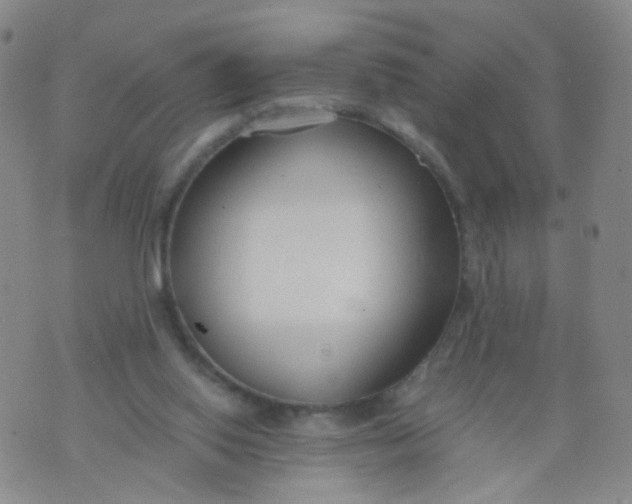 X0000073920062200609011819