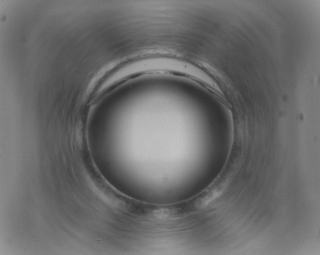 X0000073920064200609011819