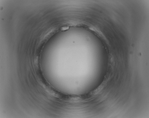 X0000073920066200609011820