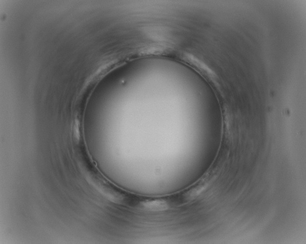 X0000073920067200609011820