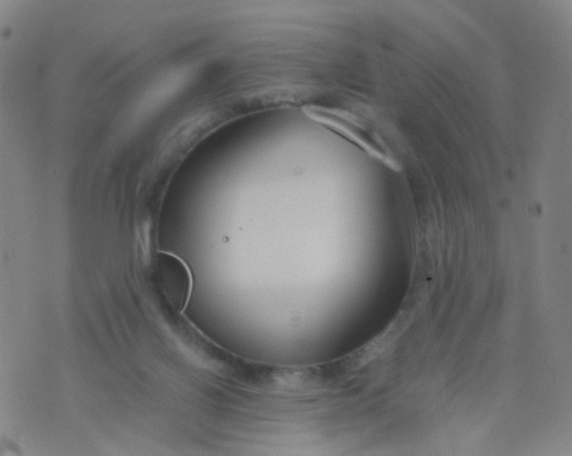 X0000073920070200609011820