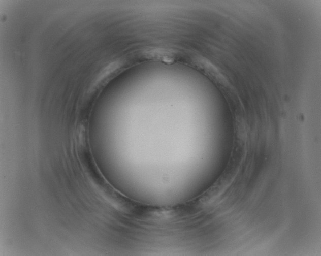 X0000073920071200609011820