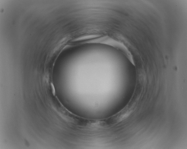 X0000073920072200609011820