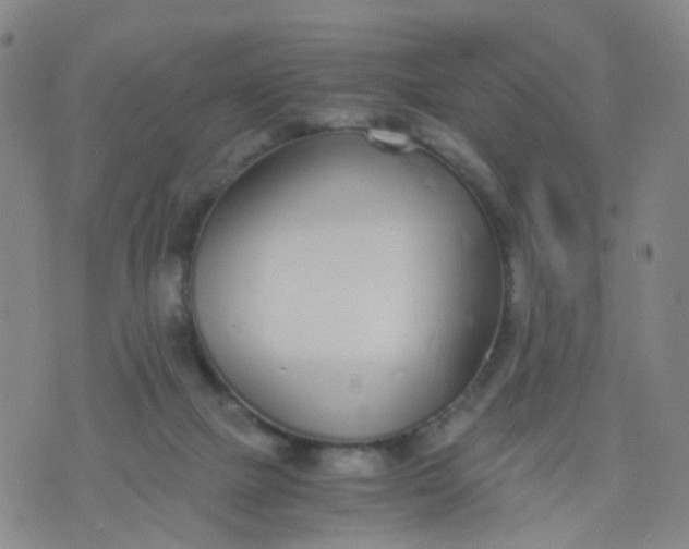 X0000073920073200609011820