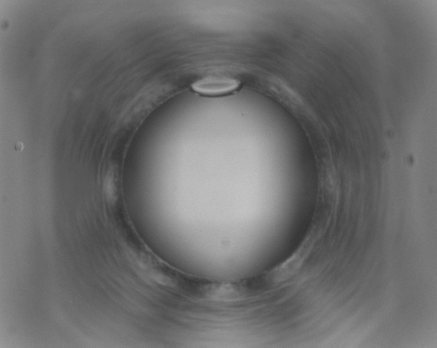 X0000073920074200609011820