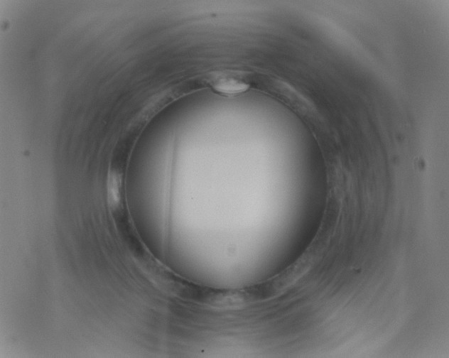 X0000073920075200609011820