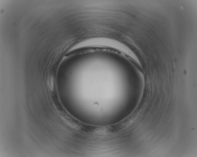 X0000073920076200609011820