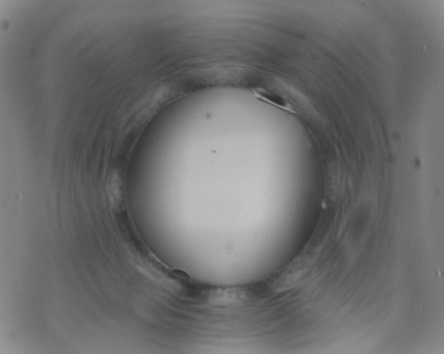 X0000073920077200609011820