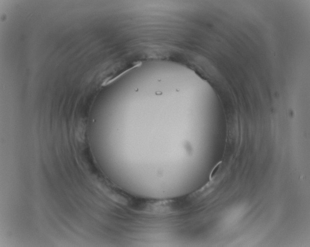 X0000073920078200609011820