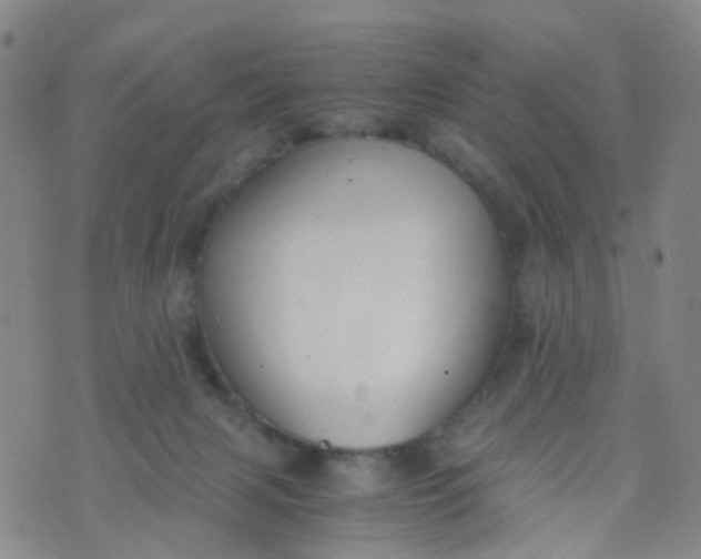 X0000073920079200609011820