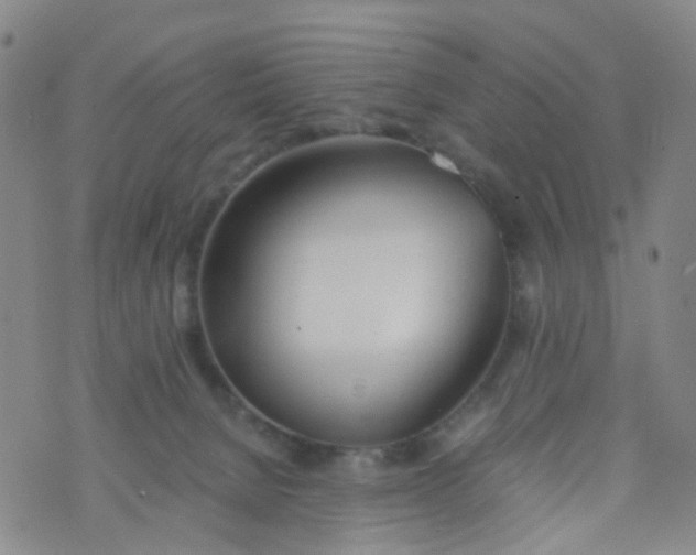 X0000073920080200609011820