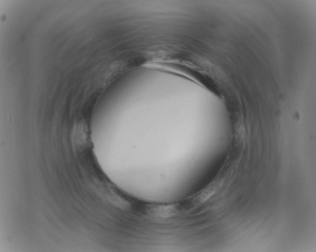 X0000073920081200609011820