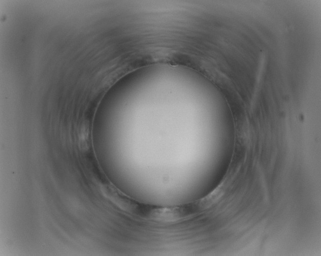 X0000073920082200609011820