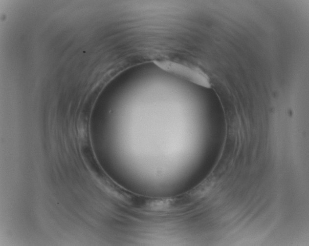 X0000073920084200609011820