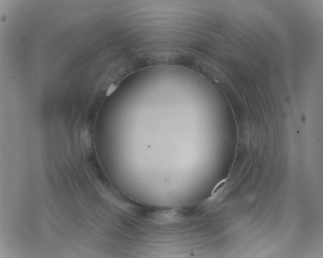 X0000073920086200609011820