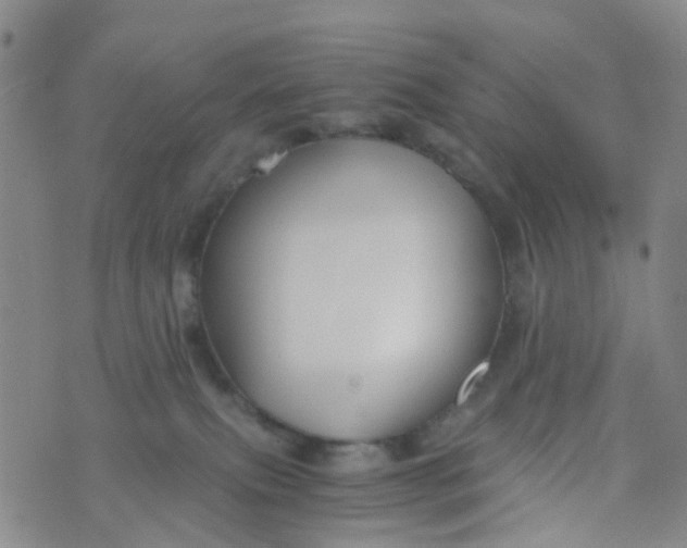 X0000073920087200609011820