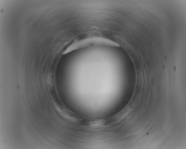 X0000073920088200609011820