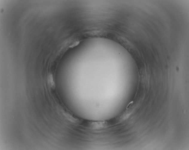 X0000073920089200609011820