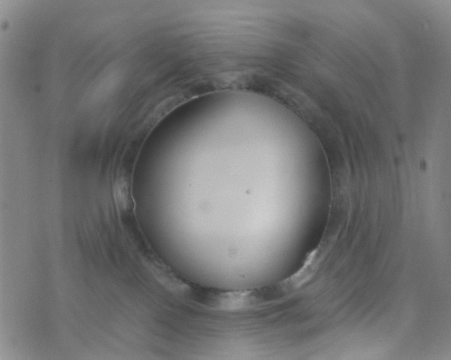 X0000073920090200609011820