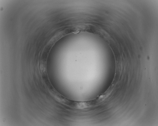 X0000073920091200609011820