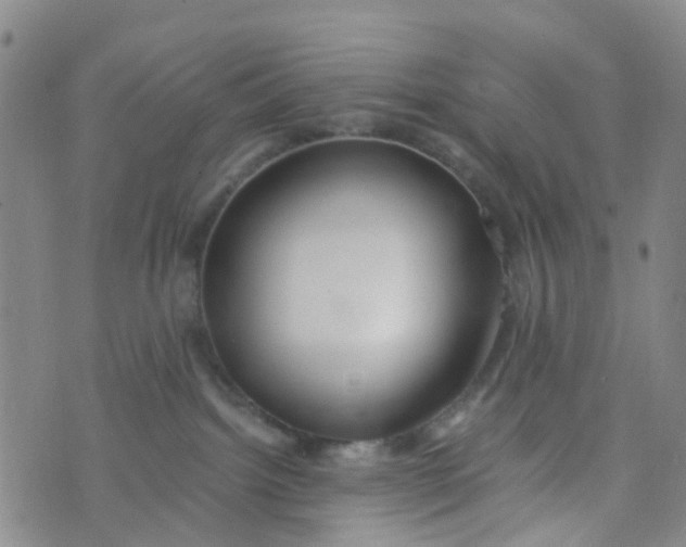 X0000073920092200609011820