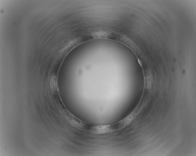 X0000073920093200609011820