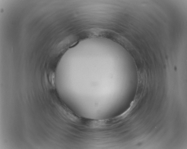 X0000073920094200609011820