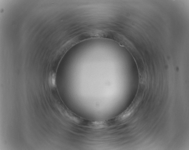 X0000073920095200609011820