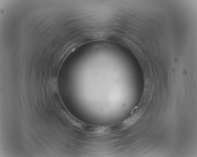 X0000073920096200609011820